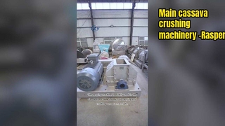 식품 등급 카사바 래스퍼